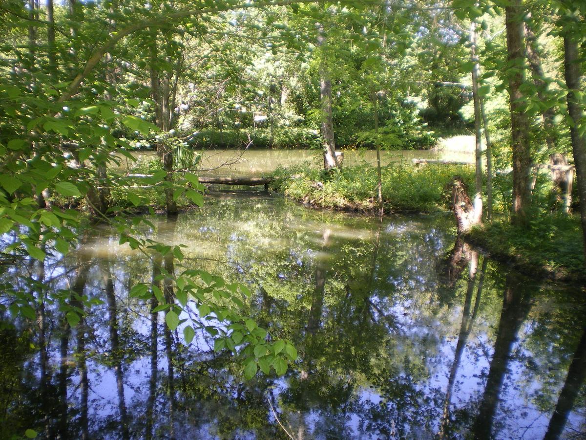 مبيت وإفطار Le Vigan  Les Jardins D'Ungaro / Manoir La Barriere المظهر الخارجي الصورة